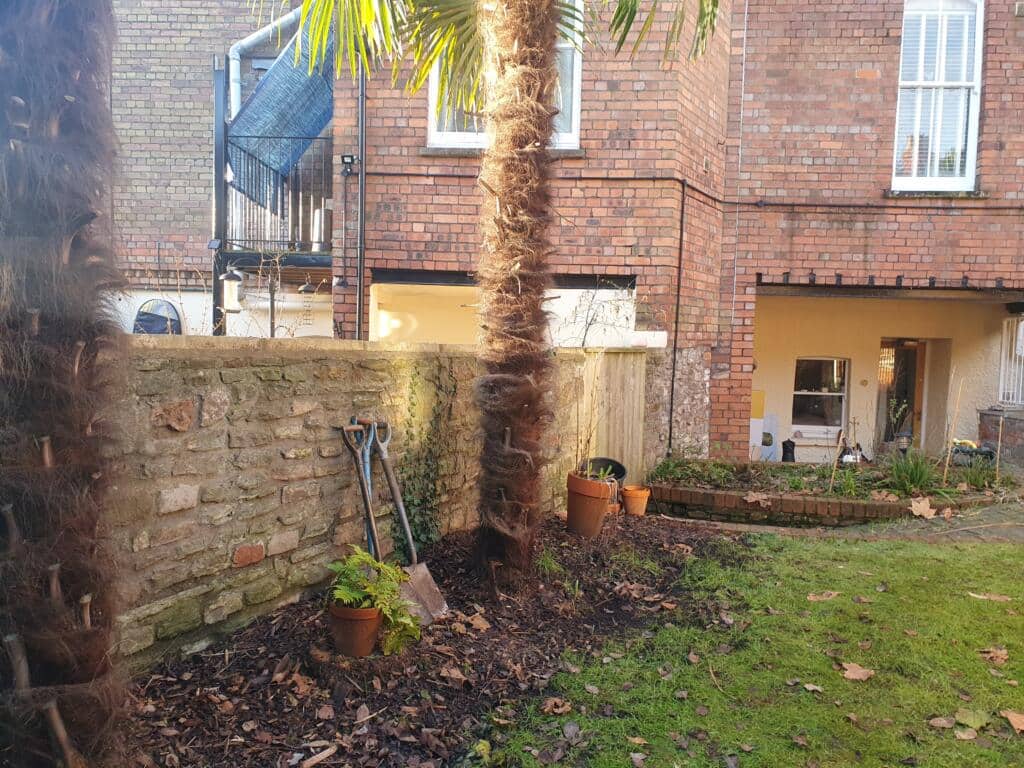 Jungle Garden with Rill-1