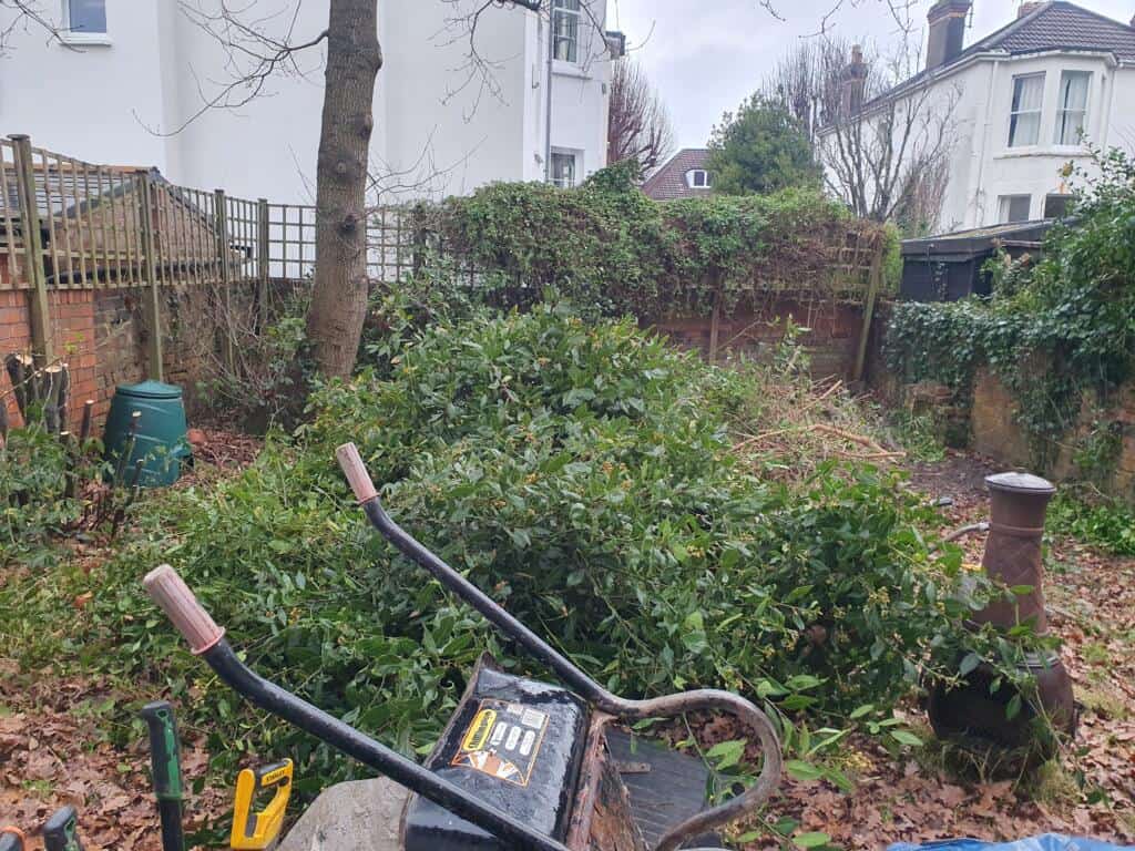 Shady Redland Garden with Pond_5