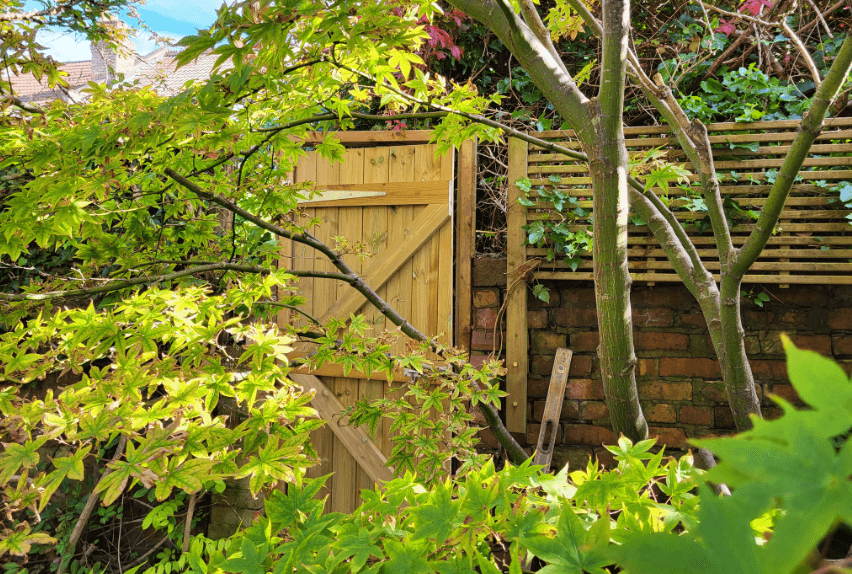 Garden Maintenance 3