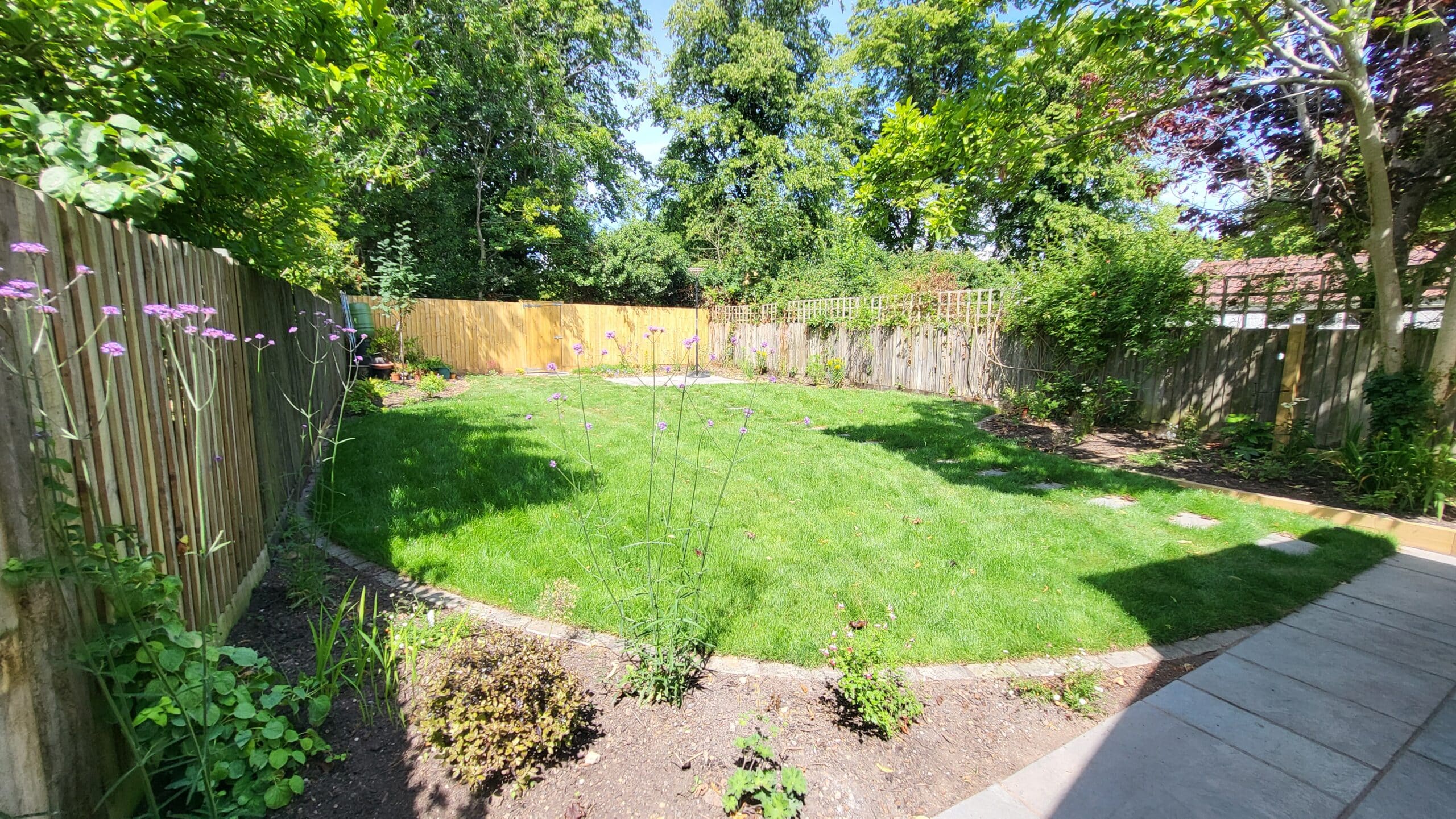 weston crescent back garden 1