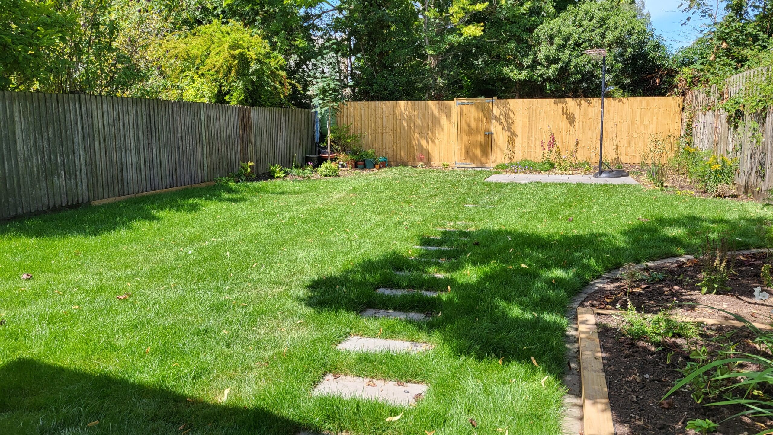 weston crescent back garden 2