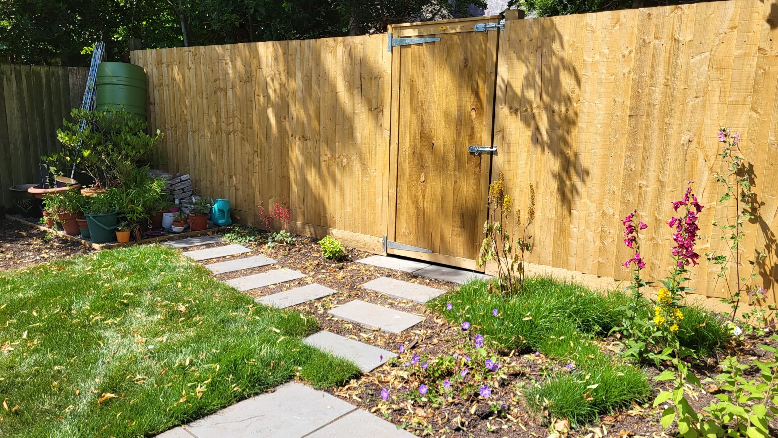 weston crescent back garden 7