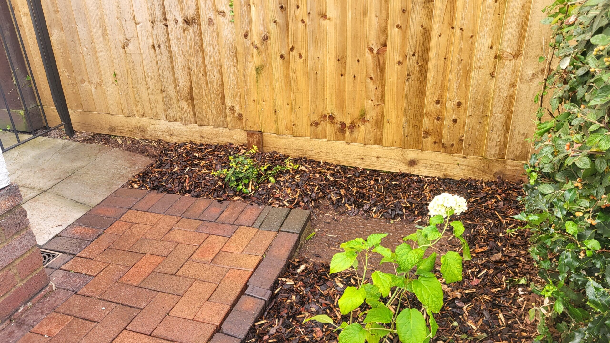 parry's close front garden 0