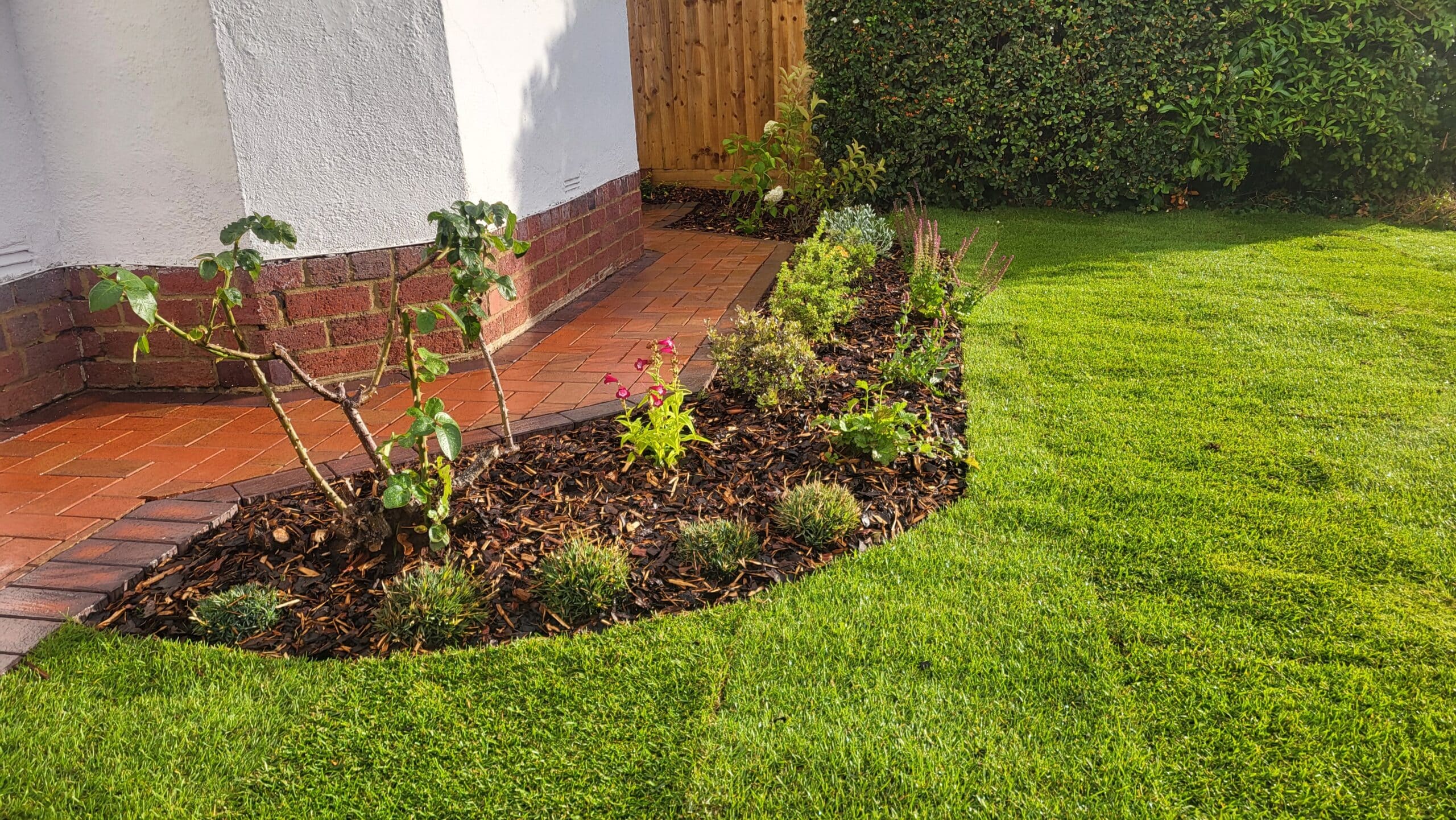 parry's close front garden 5