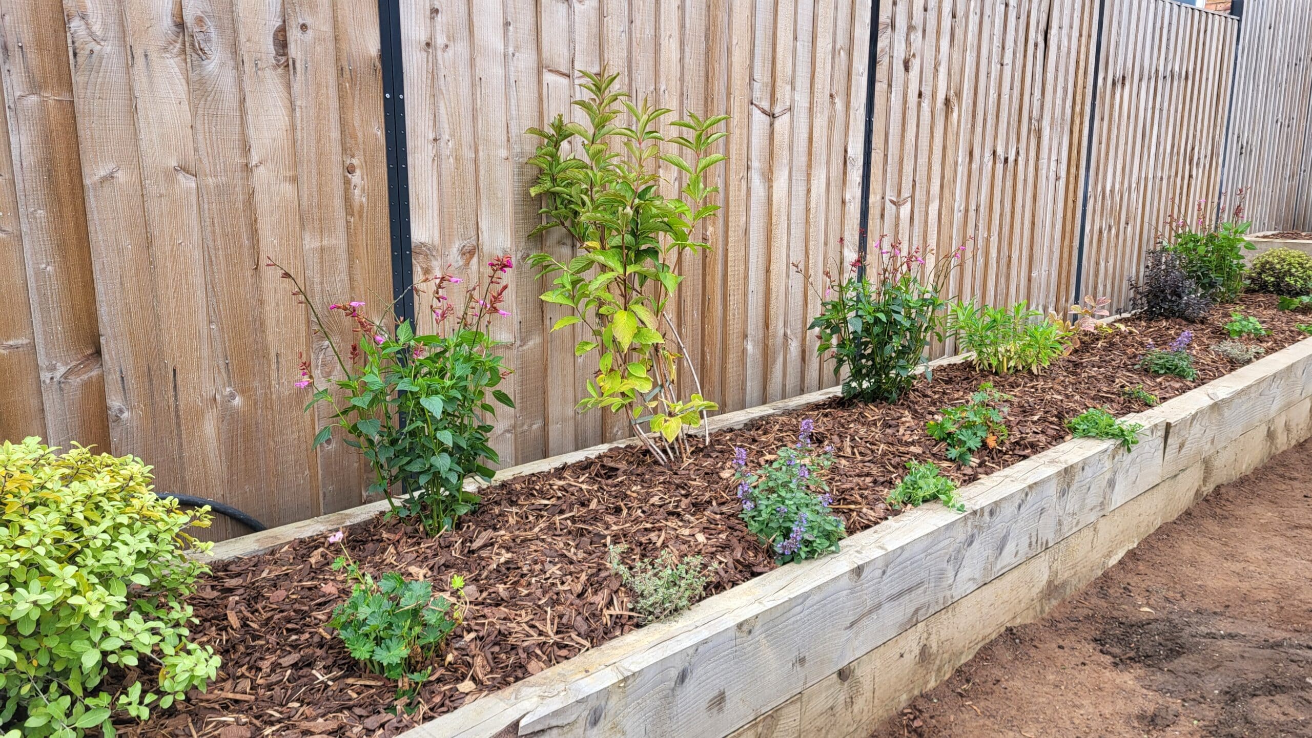 kings head lane peachey 3