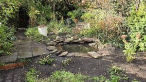 manor road pond 2